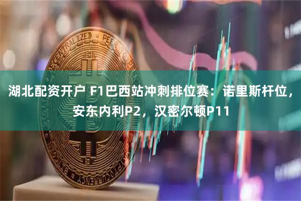 湖北配资开户 F1巴西站冲刺排位赛:诺里斯杆位,安东内利P2,汉密尔顿P11