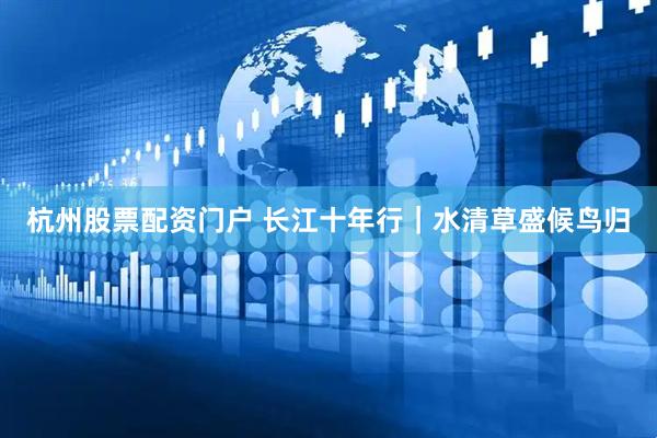 杭州股票配资门户 长江十年行｜水清草盛候鸟归